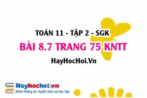 Bài 8.7 trang 75 Toán 11 tập 2 Kết nối tri thức: Xác suất của biến cố hợp